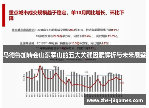 马德鲁加转会山东泰山的五大关键因素解析与未来展望